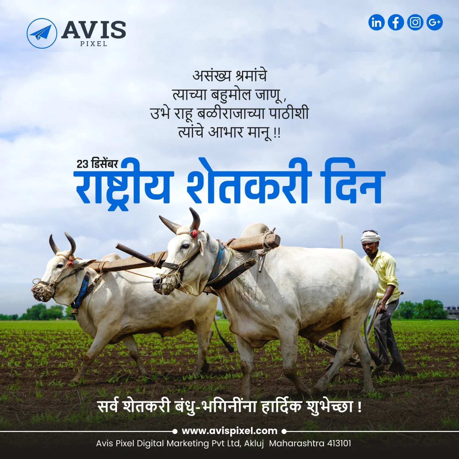 Avis Pixel social media post design for digital marketing services